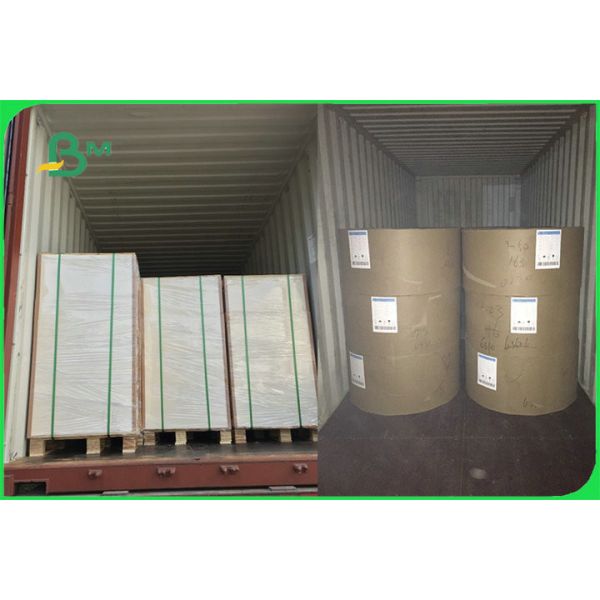 Buy FDA White Food Safe FBB Board 15g PE Coated Paper For Cup Making Custom at wholesale prices