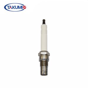 China R10P3 Generators Spark Plug for 420 series on sale