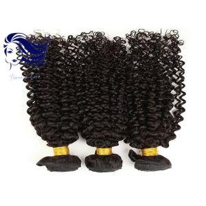 100 Virgin Brazilian Remy Hair Extensions / Virgin Brazilian Straight Hair