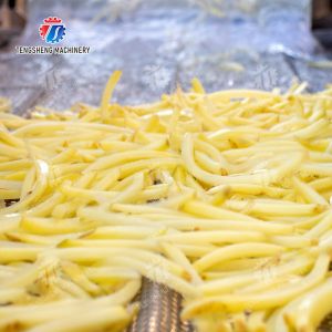 Vegetable Leaves Vegetables Leafy vegetables Cabbage varieties Herbs Fruiting