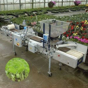 1-18 Rows Professional Micro Green Seeding Machines with 1020 Tray Customized