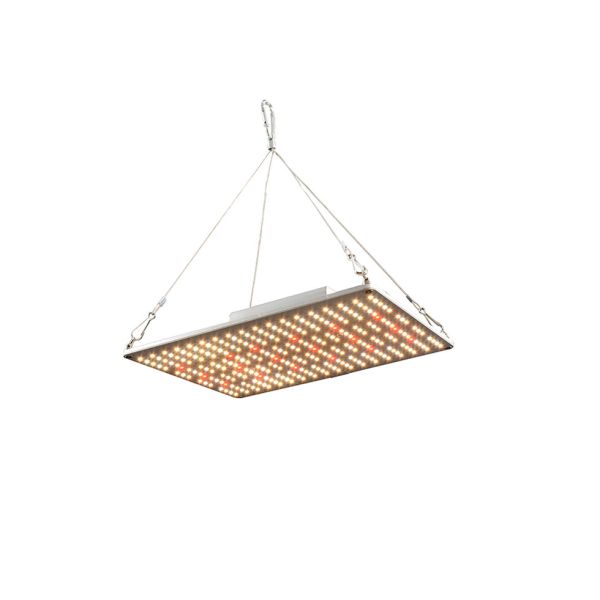 Buy ETL 100W Led Herb Grow Lights For Greenhouse at wholesale prices