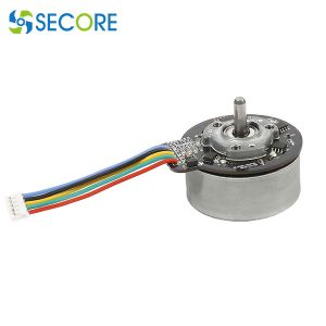 Brushless DC Massager Motor Permanent Magnet 6500 RPM Speed