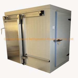 Freon Refrigerant Commercial Cool/Cold/Freezer Room for Blood Storage