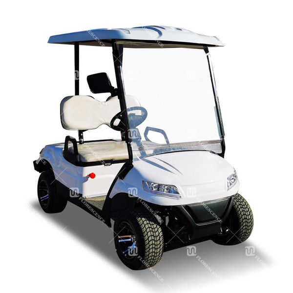 Road Legal NEA White Golf Carts 2 Person New Energy Vehicles OEM With Front
