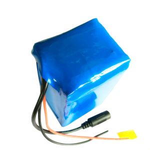 Custom 14.4Wh 12 V 12000mAh 18650 Battery Pack