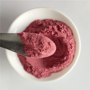 Wholesale Instant Powder Drink Dried Waxberry In Bulk