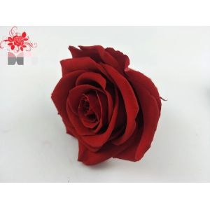 Wholesale real preserved rose head with fresh rose smell everlasting rose