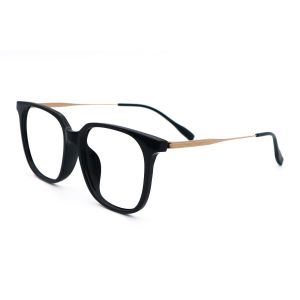 Ultralight Beta Titanium+TR Glasses Adjustable Unisex ZTO 1019