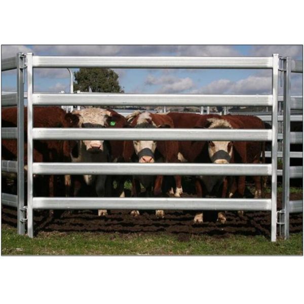 Buy 30*60*1.6mm Oval Pipe economic Full Welded Used Horse Corral Panels For Farm at wholesale prices