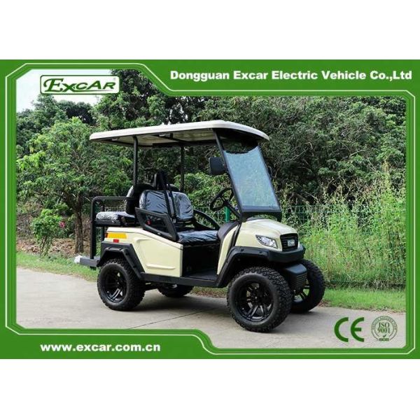 Electric 2 Seats Golf Cart Hunting Buggies With Flip Seats