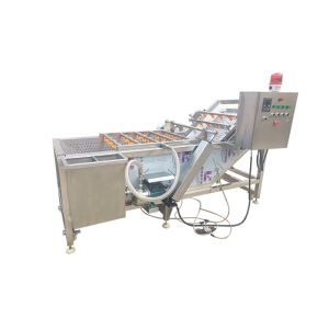 Industrial Automatic Restaurant 500kg/h Vegetable Bubble Washing Machine