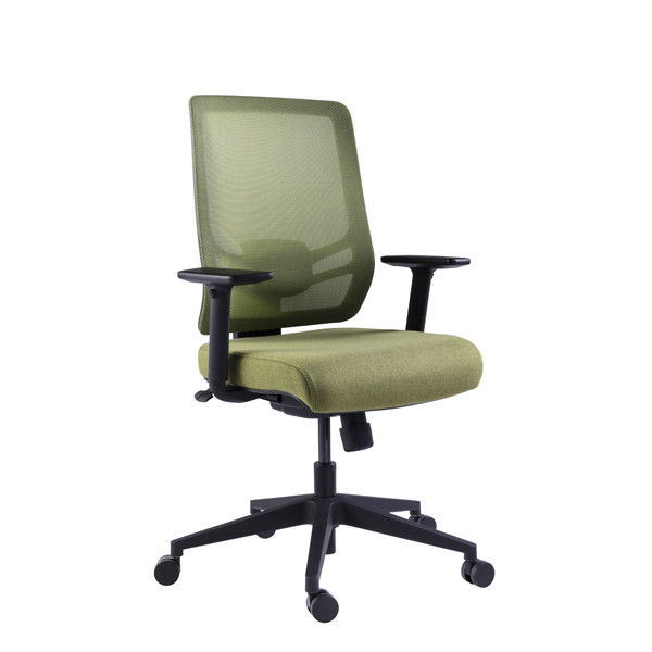 Buy Green Mesh Optional Headrest Tilt Functional Ergonomic Executive Chair at wholesale prices