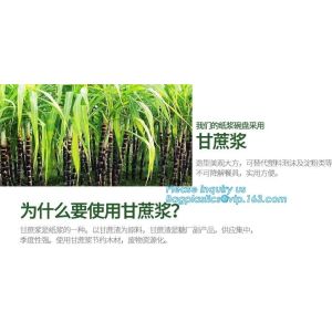 eco sugarcane pulp disposable biodegradable plate,Factory 100% Biodegradable
