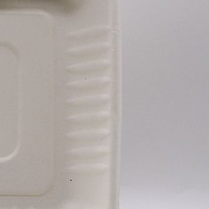 biodegradable disposable sugarcane bagasse takeaway food container packaging 3