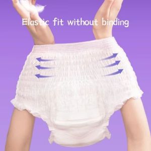 Disposable Menstrual Briefs Manufacturer For An Eco-Friendly Period