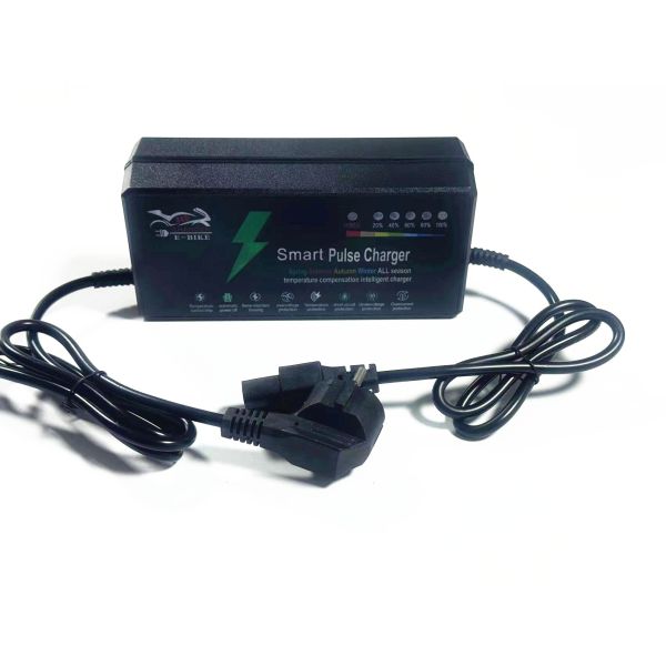 Auto Identification 110V 240V Electric Vehicle Lead Acid Battery Charger 60V 32Ah with Low Tension Protection