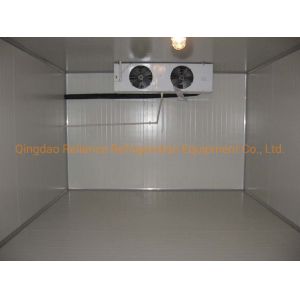 Small Cold Storage Room for Dairy Products and Beverages Powered by Freon