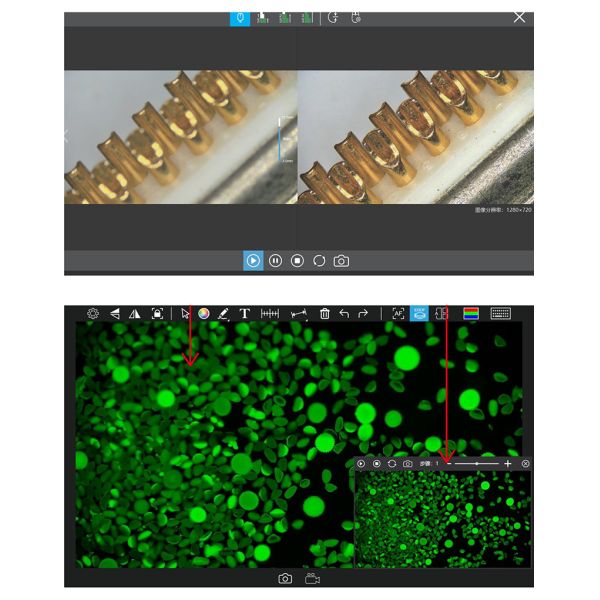 OPTO-EDU A59.4971 Auto Focus EDF 4K HDMI USB LAN Digital Microscope Camera 8.3M Flourescent