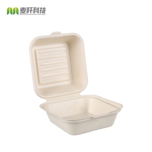 Contenedor Fibra envases Biodegradable Disposable Sugarcane Bagasse Paper Bamboo