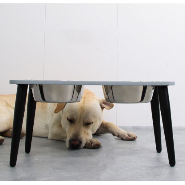 Collapsible Double Dog Bowl Elevated Adjustable Raised Stainless Steel