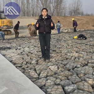 275g Zinc Coated Galvanized Gabion Cages With Iron Wire Mesh