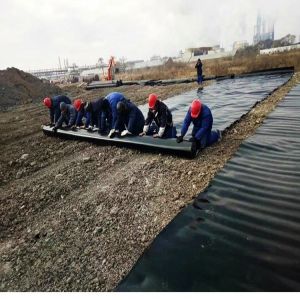 Double Smooth/Double Texture HDPE Geomembrane for Pond Tank and Pool Solutions