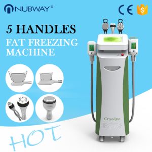 Quality Cryolipolysis Machine, Cryolipolysis Fat Freezing Machine, Cryolipolysis Slimming Machine for sale