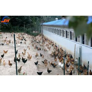 Quality ISO9001 2008/CE/BV Certified Modern Poultry Farm Light Steel Structure Chicken House for sale