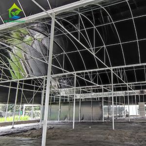 Multi Sapn Balckout Light Deprivation Greenhouse For Mushroom Growing