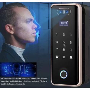 Villa Face Id Smart Lock ROHS Automatic Door Lock For Apartment