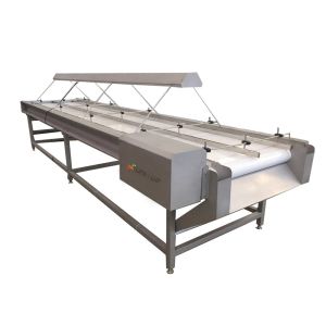 355 KG Capacity Dates Inspection Sorting Conveyor for Vegetable Sorting