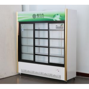 2/3 Sliding Door Beverage Commercial Display Cabinets Green Series Air Cooled
