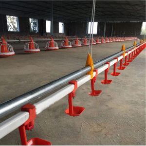 Chicken Poultry Automatic Pan Feeding System Nipple Drinking Line