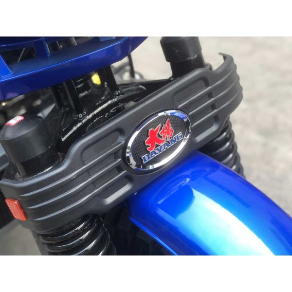 5.00-12/5.00-12 Tyre DAYANG 300cc Double Rear Axle Motorized Tricycle for Heavy Loads