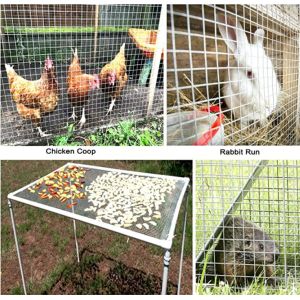 Customized Length Hot Dipped Galvanized PVC Coated Welded Wire Mesh for Garden