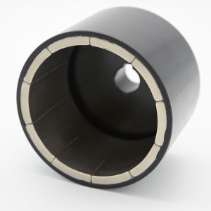 Made in China Shaft Magnetic Coupling with High Quality