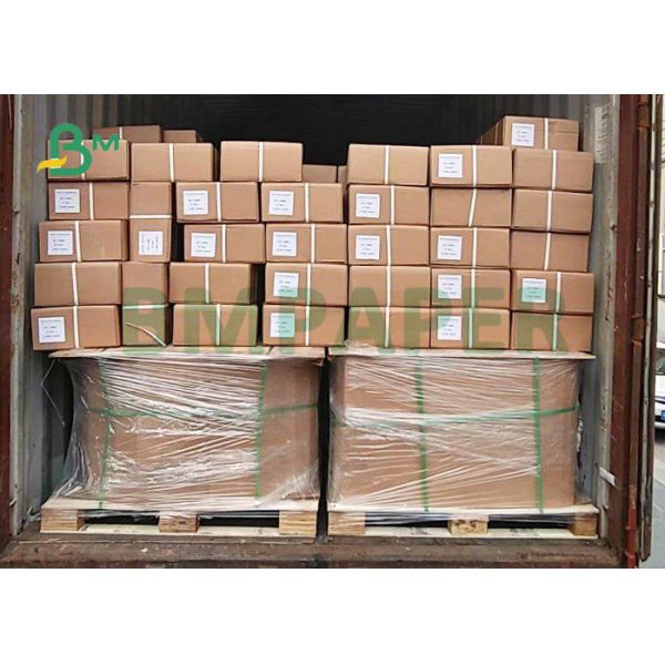 24'' or 36'' Width 20LB CAD Bond Paper White / Blue Color For Engineering Plans 24'' or 36'' Width 20LB CAD Bond Paper White / Blue Color For Engineering Plans