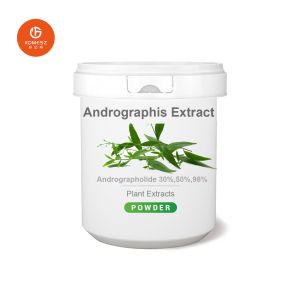 Bulk Supply Andrographis Extract Andrographolide 98% Powder