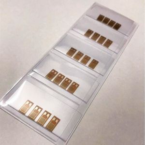 Phenolices Homo Taxial Foil Strain Gages BF350-3AA