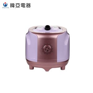 Mini Easy Home Handheld Fabric Steamer , Purple Upright Garment Steamer