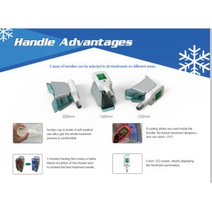 5 Handles Cryolipolysis Fat Freezing Machine , Multifunctional Cavitation RF