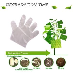 Biodegradable and compostable PLA gloves,OEM cheap biodegradable kitchen