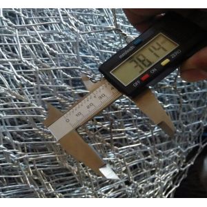 PVC Coated Or Galvanized Poultry Fence Hexagonal Wire Mesh