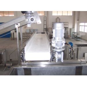 Fruit And Vegetable Washer Machine , Vegetable Processing Unit Intelligent