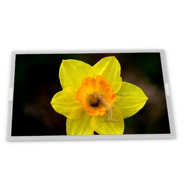 Buy G101EVN03.1 Custom 10.1-Inch New TFT LCD Display Module Panel 1280*800 Resolution ODM Product Category LCD at wholesale prices