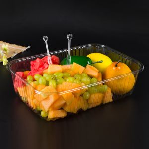 HLD-470 PP plastic fast food tray container machinery