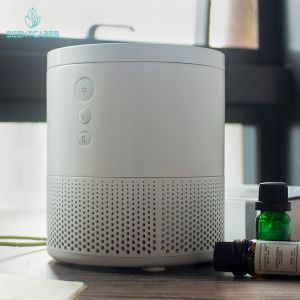 Gym ABS PP 12W Cool Mist Essential Oil Diffuser