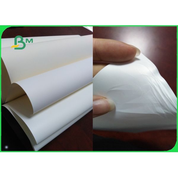 Buy Polypropylene Based Film Synthetic Paper 150um Excellent Printability at wholesale prices