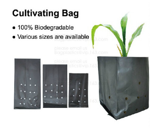 Buy PE CLIPS, CULTIVATING BAG, 100% BIODEGRADABLE VARIOUS SIZE ARE AVAILABLE,GREEN HOUSE,POT, PLANTING, PLANTER, FILM COVER, at wholesale prices